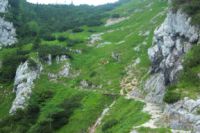 2014-07-24_OsterfelderKopf (339)b.JPG